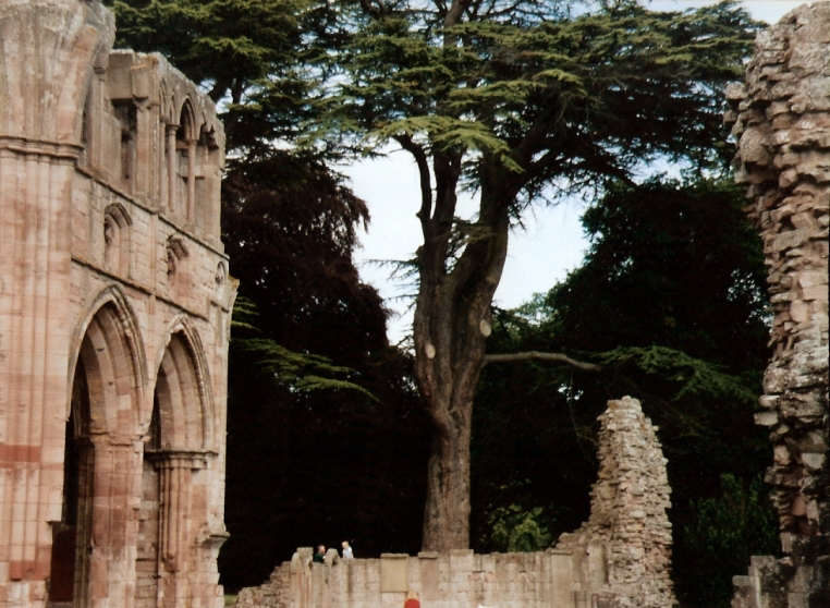 Dryburgh Abbey, Scotland - Photo by Susan Wallace